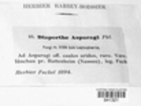 Image Associated With the Occurrence